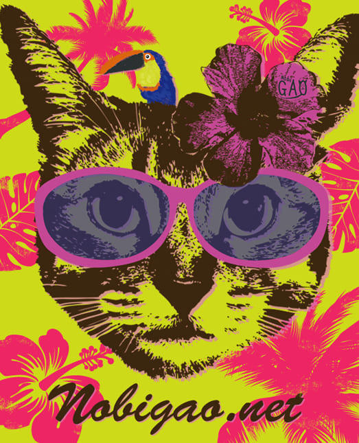 ハイビスカス猫