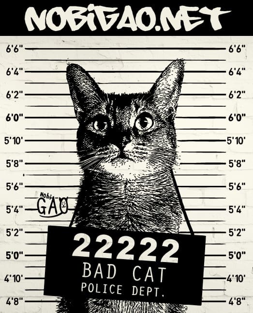 猫マグショット